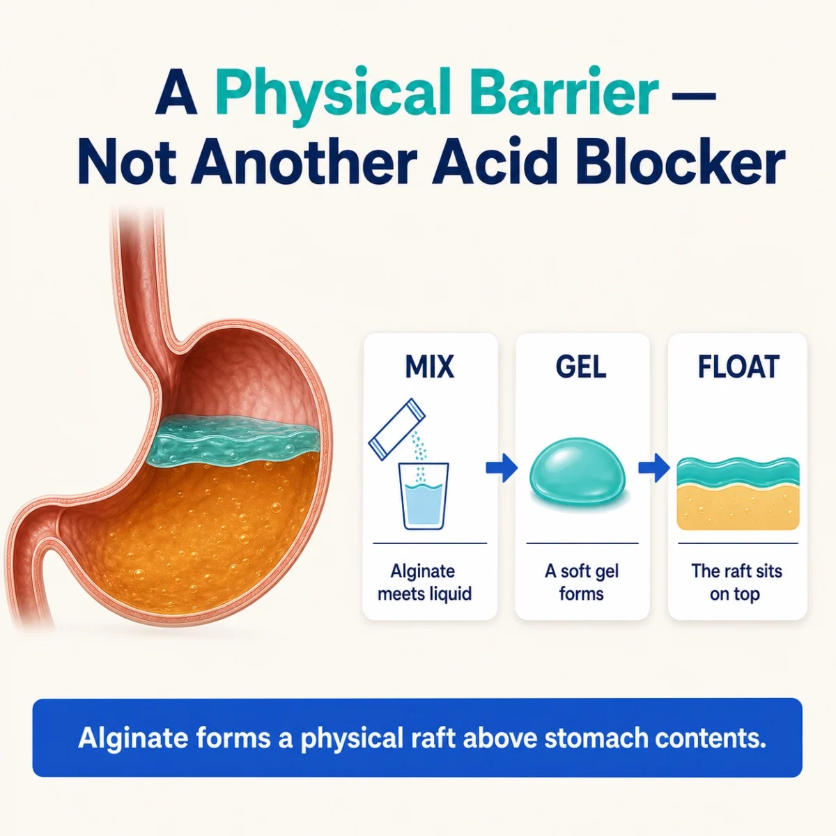 How the NightRaft alginate barrier mixes, gels and floats